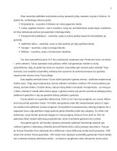 Operatyvaus gamybos valdymo teorija "just-in-time" 5 puslapis