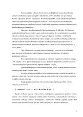 Operono modelis 3 puslapis