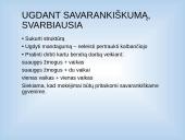 Autizmą turinčių vaikų ugdymas 11 puslapis