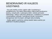 Autizmą turinčių vaikų ugdymas 14 puslapis