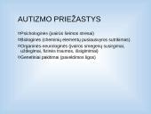 Autizmą turinčių vaikų ugdymas 3 puslapis