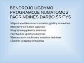 Autizmą turinčių vaikų ugdymas 10 puslapis