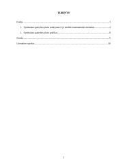 Optimalios gamybos planas 2 puslapis