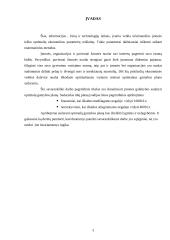 Optimalios gamybos planas 3 puslapis