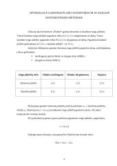 Optimalios gamybos planas 4 puslapis