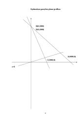 Optimalios gamybos planas 8 puslapis