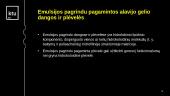 Valgomosios pakavimo plėvelės ir dangos 13 puslapis