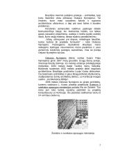 Oskaras Nymejeris. Garsusis Brazilijos architektas 2 puslapis