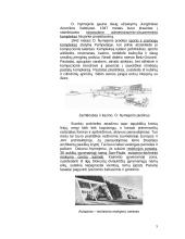 Oskaras Nymejeris. Garsusis Brazilijos architektas 5 puslapis