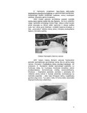 Oskaras Nymejeris. Garsusis Brazilijos architektas 6 puslapis