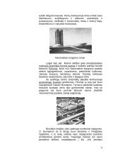 Oskaras Nymejeris. Garsusis Brazilijos architektas 8 puslapis