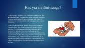 Civilinės saugos tarnybos ir ženklai 2 puslapis