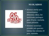 Pajamų šaltiniai ir pagrindiniai ištekliai 4 puslapis