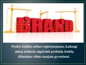 Pajamų šaltiniai ir pagrindiniai ištekliai 6 puslapis