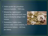 Pajamų šaltiniai ir pagrindiniai ištekliai 7 puslapis