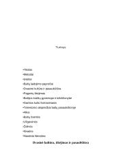 Pagonių tikėjimas 14 puslapis