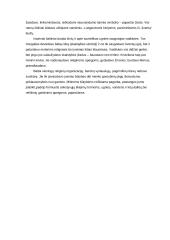 Pagonių tikėjimas 8 puslapis