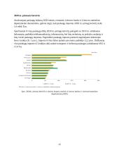 Importas Lietuvoje 12 puslapis