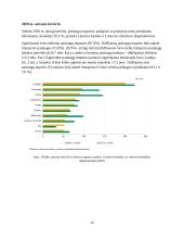 Importas Lietuvoje 13 puslapis