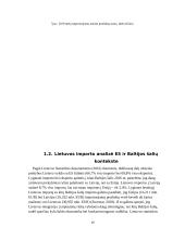 Importas Lietuvoje 18 puslapis