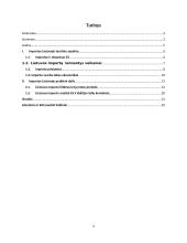 Importas Lietuvoje 3 puslapis