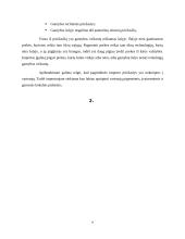 Importas Lietuvoje 8 puslapis