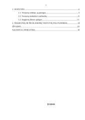 Papročiai tradicinėse ir šiuolaikinėse vestuvėse 2 puslapis