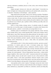 Papročiai tradicinėse ir šiuolaikinėse vestuvėse 6 puslapis