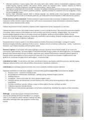 Raumenų ir judėjimo konspektas 4 puslapis