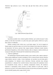 Parkinsono liga ir slauga 4 puslapis