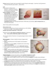 Jutimų biologijos konspektas 2 puslapis