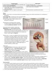Jutimų biologijos konspektas 4 puslapis
