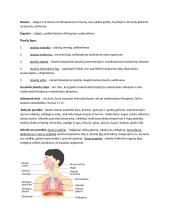 Dujų apykaita 2 puslapis