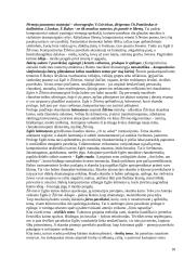 Pokaris ir dabarties muzika 18 puslapis