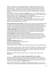 Pokaris ir dabarties muzika 19 puslapis