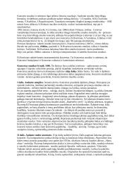 Pokaris ir dabarties muzika 5 puslapis