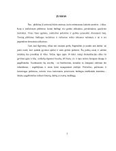 Patruliavimo su šunimi taktika 3 puslapis