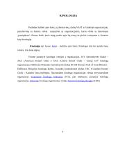 Patruliavimo su šunimi taktika 4 puslapis