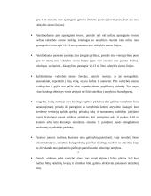 Patruliavimo su šunimi taktika 7 puslapis