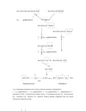 Paveldimos lipidinės ligos 6 puslapis
