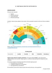 Klasicizmo epochos muzika  11 puslapis