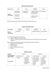 Klasicizmo epochos muzika  12 puslapis