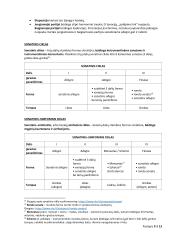 Klasicizmo epochos muzika  9 puslapis