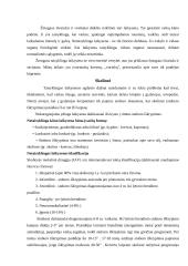 Stuburas-žmogaus sveikatos pagrindas 3 puslapis