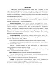 Stuburas-žmogaus sveikatos pagrindas 6 puslapis