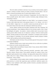 Pavėsinės, pergolės, treliažai 5 puslapis