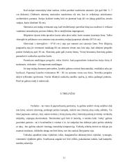 Pavėsinės, pergolės, treliažai 10 puslapis