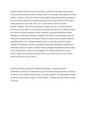 Kodėl žmogui svarbu abejoti 2 puslapis