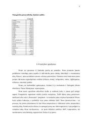 Pienas ir jo produktai gamyboje 5 puslapis