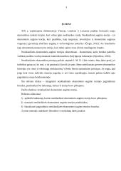 Neoklasikinė ekonominio augimo teorija: laikotarpis, pradininkai ir pagrindiniai bruožai 3 puslapis